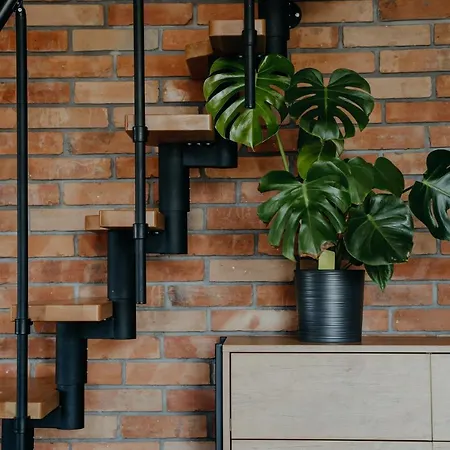 Appartamento Osada - „czerwone Wierchy” *